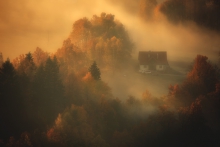 The Warmth of An Autumn...