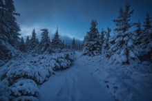 Winter Path...