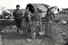 Nomade gypsies