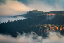 The Spirits of the Air...