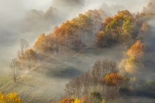 The Poetry of Light ...