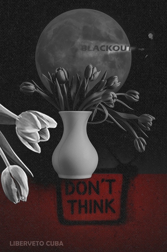 Liberveto Cuba. Zawsze myslalam, ze tulipany sa spokojne. Okazalo sie, ze tylko udawaly. To moment w ktorym martwa natura z szuflady zaczyna zyc wlasnym zyciem. Nie zamierzam jej powstrzymywac.. Zdjęcie 336918