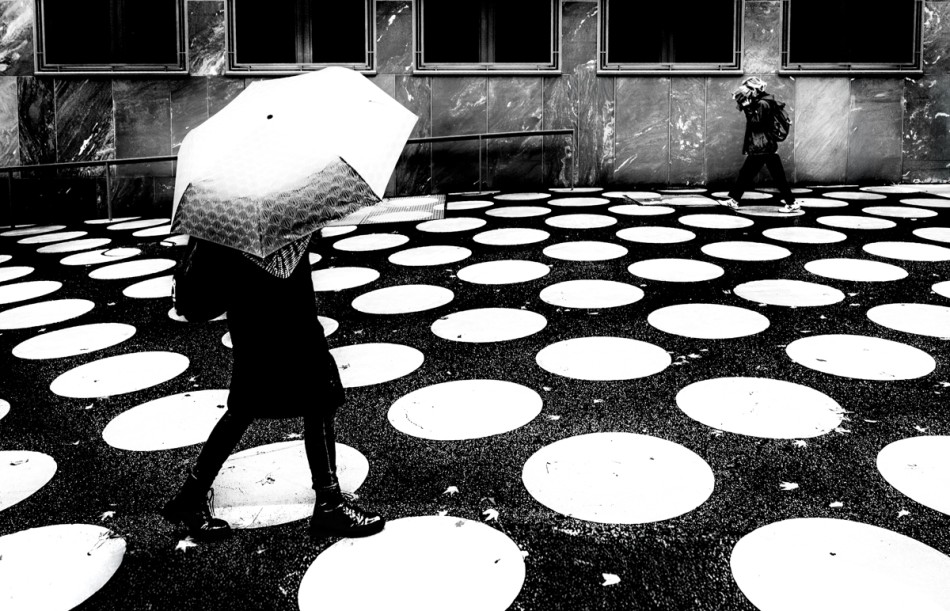 Brak tytułu. . Zdjęcie 337721