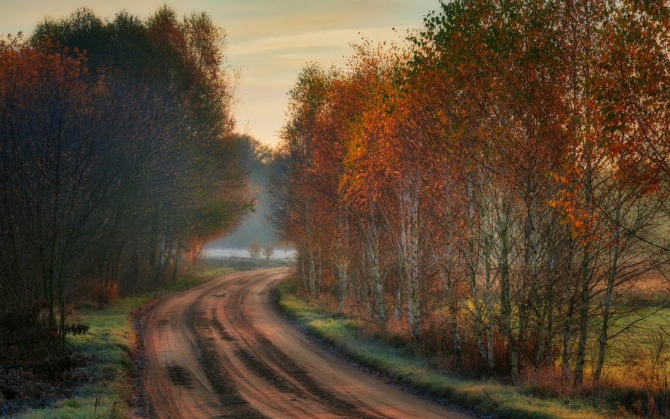 shooter76 - . . Zdjęcie 296523