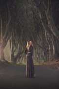 Dark Hedges