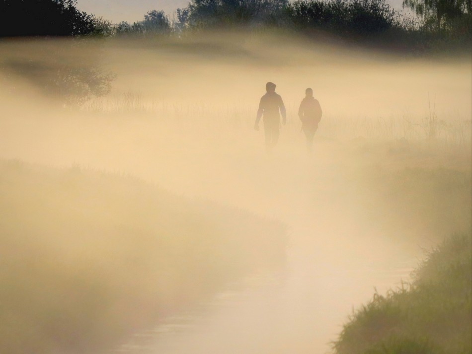 Spacer we mgle. . Zdjęcie 338892