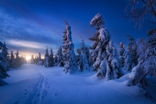A Winter's Tale.....