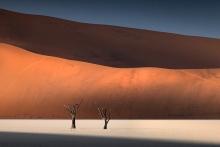 Deadvlei