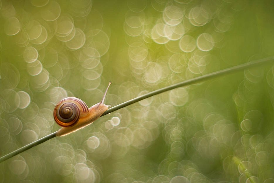 agnez - Bez pośpiechu.... . Zdjęcie 125495