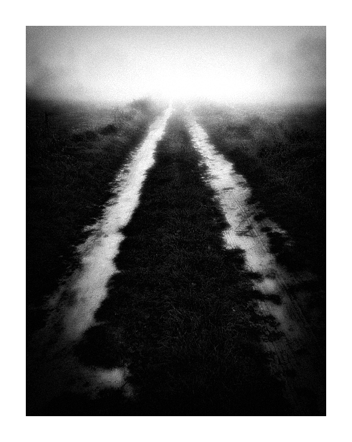 keytoo_ - *. . Zdjęcie 335709