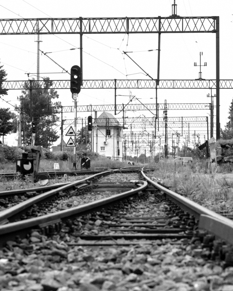 kang - . . Zdjęcie 305222