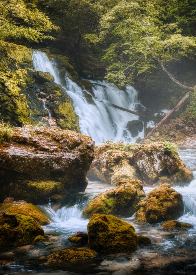 Bohinjska Bistrica. . Zdjęcie 337362