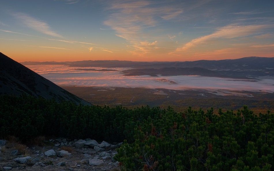 /\. . Zdjęcie 339239