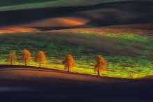 FOTOFERIA.PL