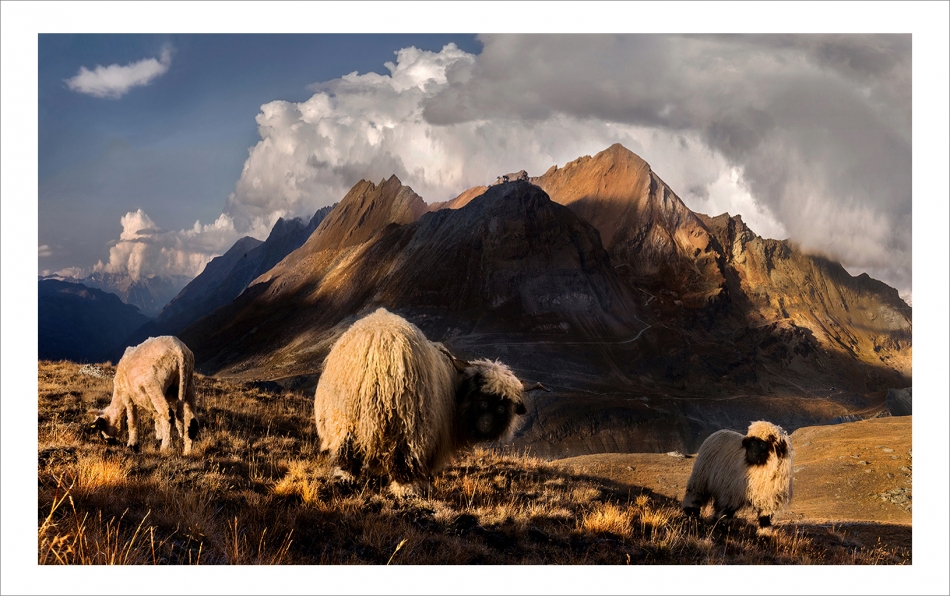 Alpy. . Zdjęcie 336861