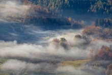 An Autumn's Tale...