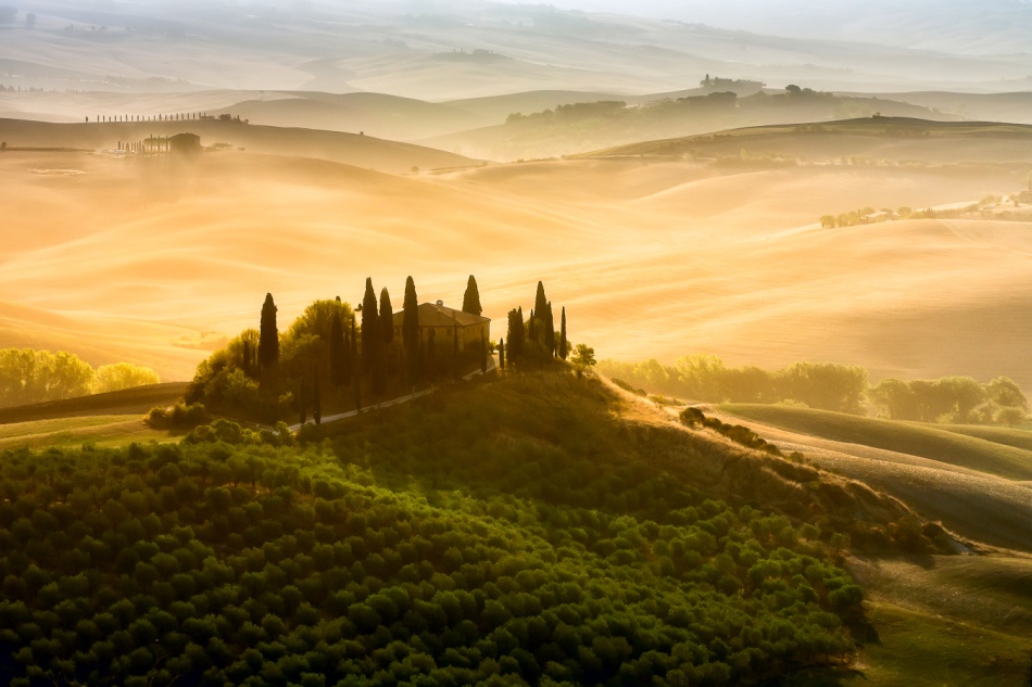 mgregor - .... . Zdjęcie 337185