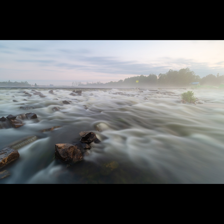 ***. . Zdjęcie 337093