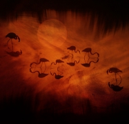  Dance of Shadows