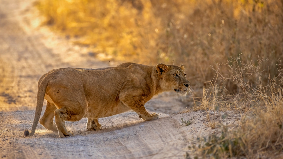 rybo_lub - Polowanie. . Zdjęcie 317229