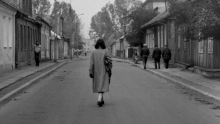 1981