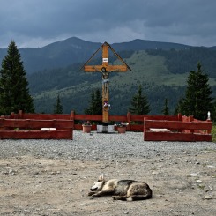 odpoczynek na przełęczy