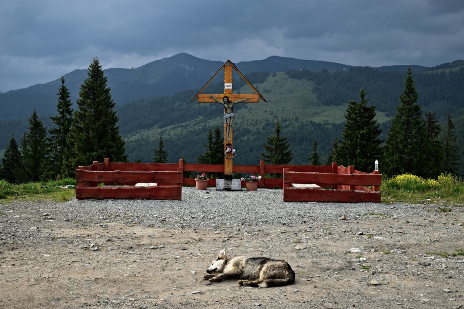 odpoczynek na przełęczy. Prislop. Zdjęcie 338080