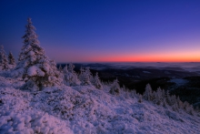 The Frost Landscape