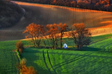 Kapliczka