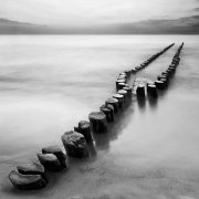 widelec w BW
