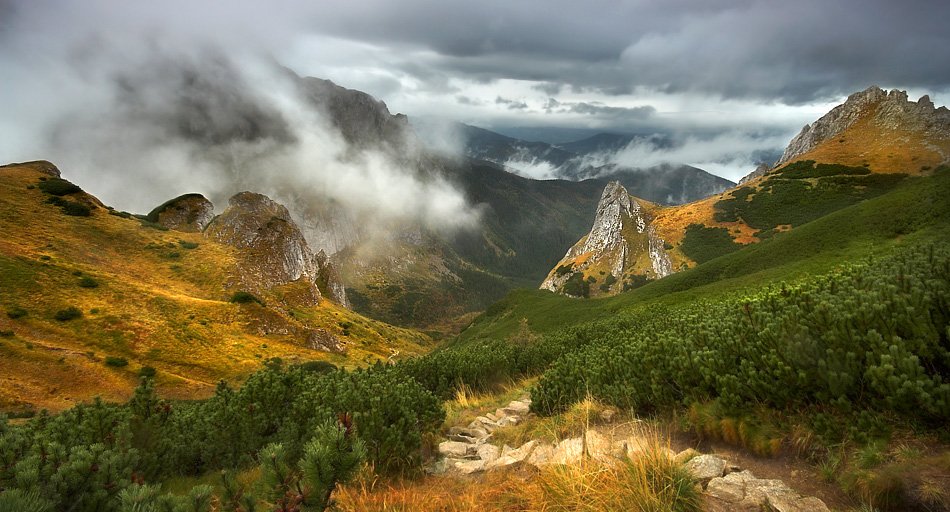 alabama - ***. . Zdjęcie 8536