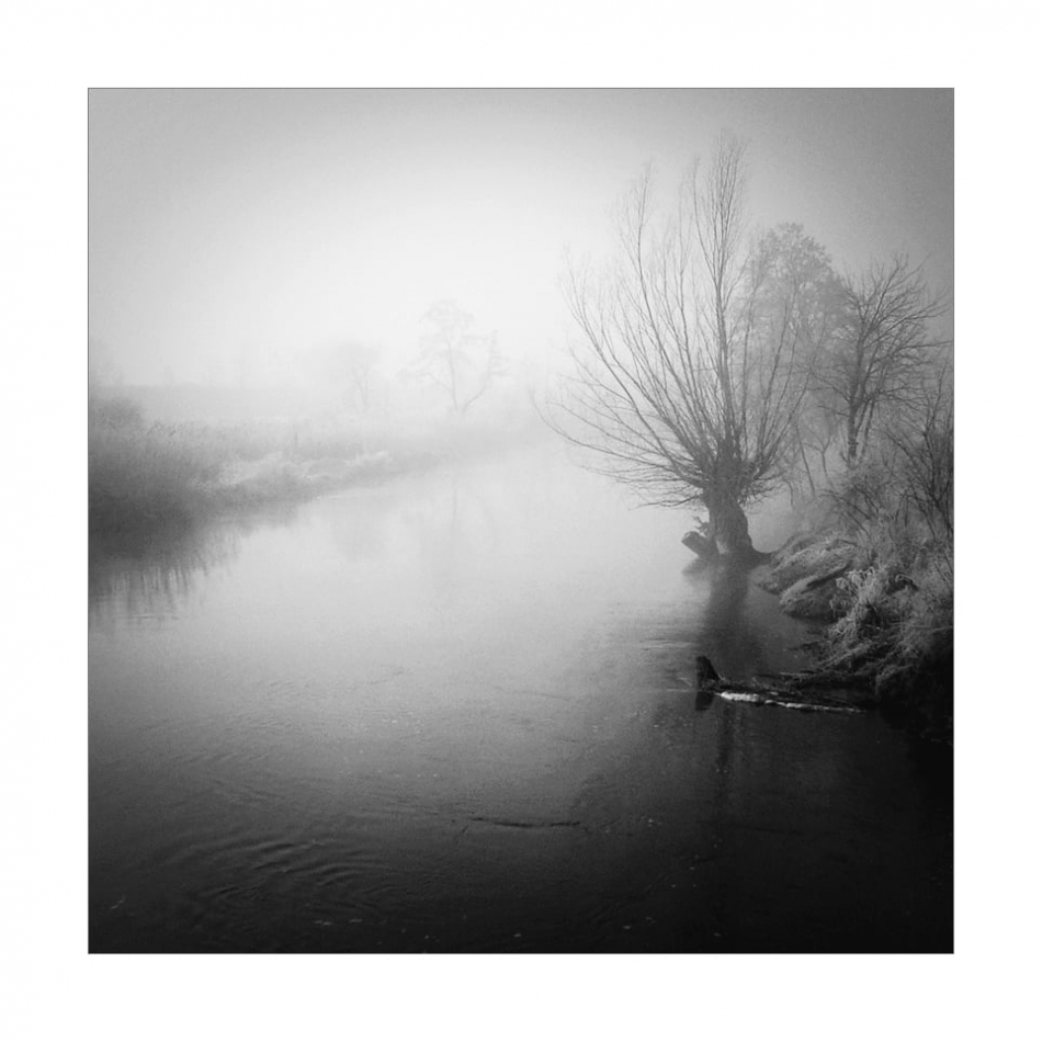 Morning Poem. . Zdjęcie 334172