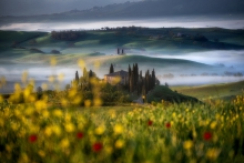 TUSCANY MY LOVE