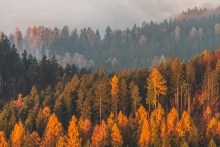For the Love of Autumn...