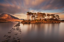 Pine Island