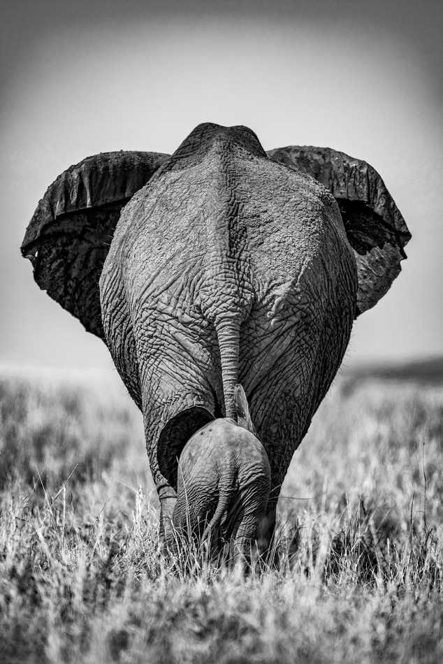 Razem. . Zdjęcie 338052