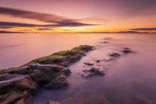Priest's Shore