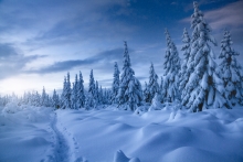 Winter Path...