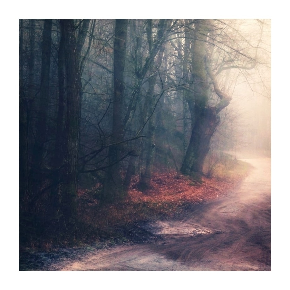 *. . Zdjęcie 337406