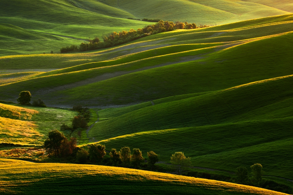jalis - Crete Senesi. PE. Zdjęcie 334251