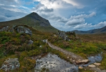 Moor