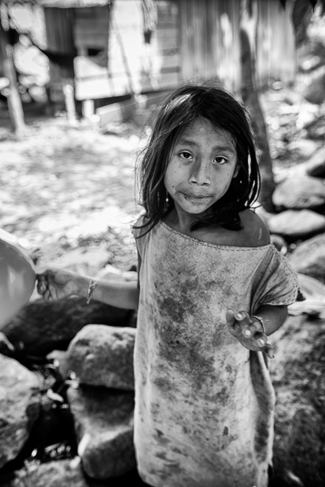 wlamparski - duchy dżungli. . Zdjęcie 180908