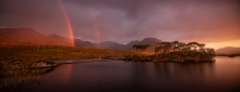 Pines Island