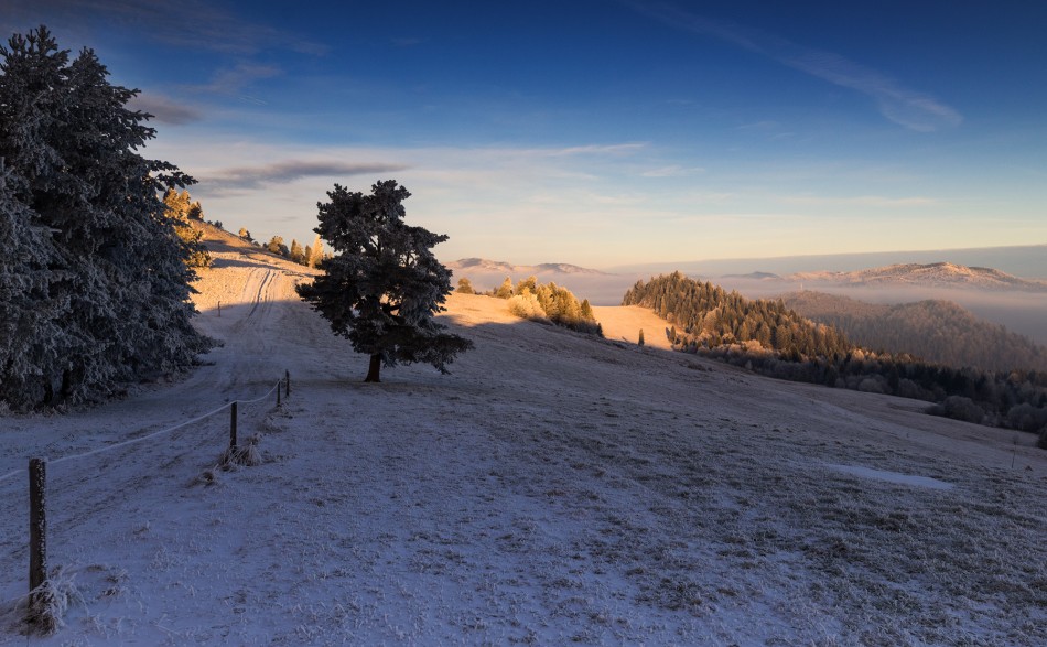 Na szlaku. . Zdjęcie 338366