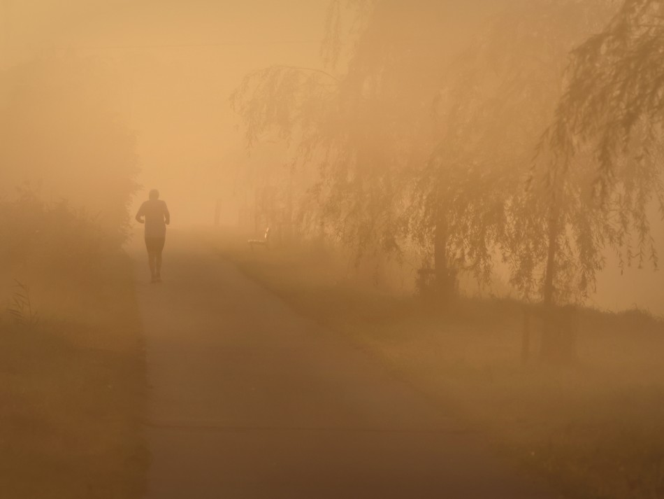 sorella - Ścieżka zdrowia. . Zdjęcie 338137