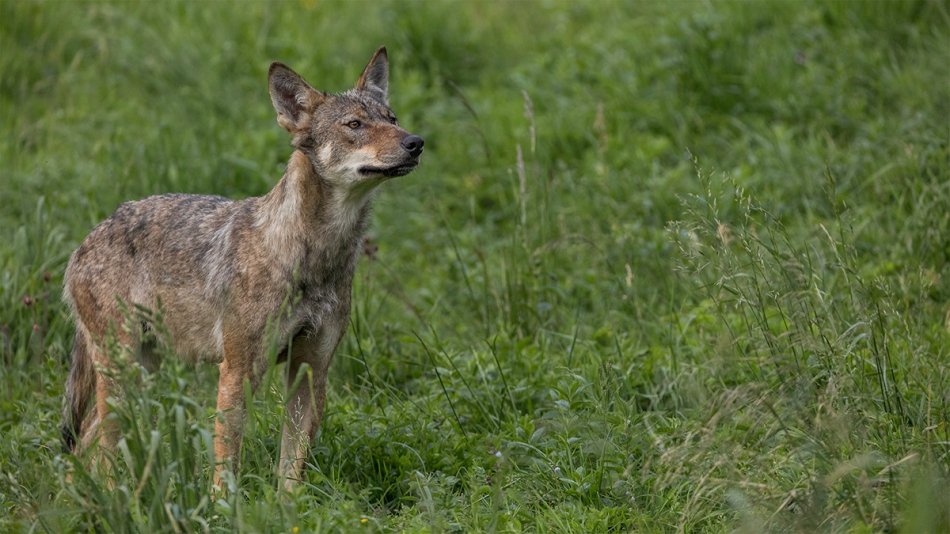 rybo_lub - Młodzieniec. . Zdjęcie 237847