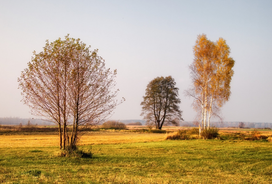 . . Zdjęcie 289314
