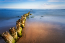 Waves of Memories
