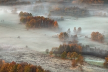 A Colour of Light...
