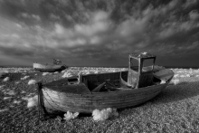 Dungeness 